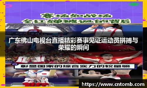 江南JNSport体育
