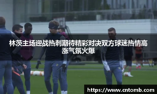 林茨主场迎战热刺期待精彩对决双方球迷热情高涨气氛火爆